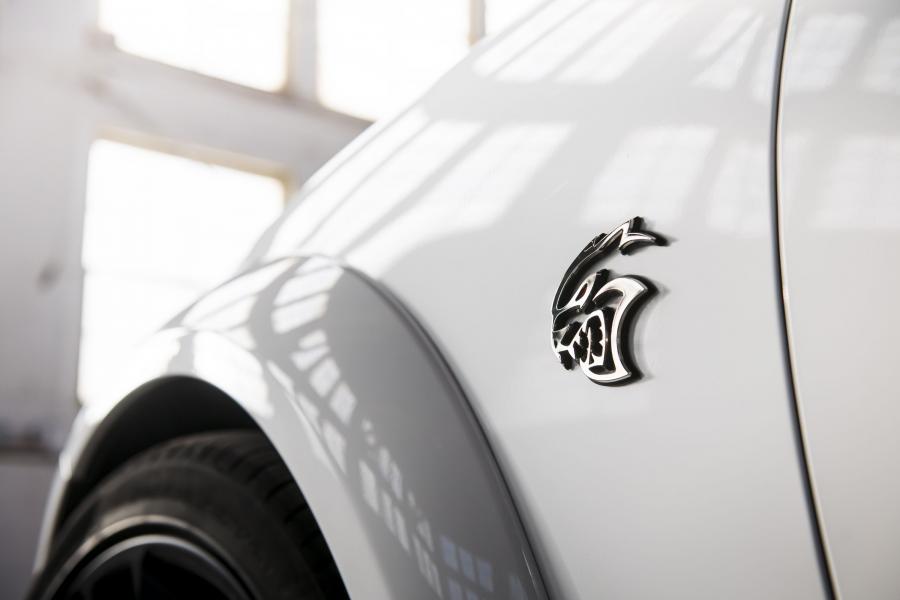 Логотип Dodge Charger SRT Hellcat Redeye (LD) 2020 года  (фото 38 из 54)